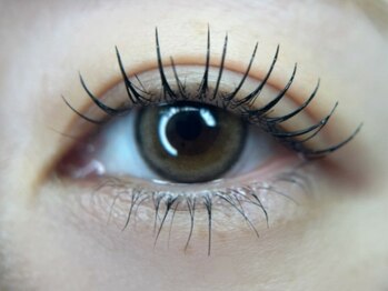 フェアリーヘア ニーナ(Fairy Hair Ni-na)/超濃厚マスカラパーマ