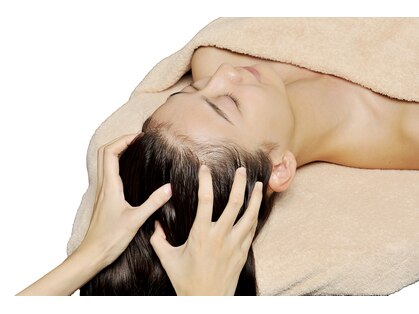 イービーシーシー博多(e.b.c.c.)の写真