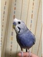 ビューティクリニック フリープ(beauty clinic freep) 動物全般好きですが、特に鳥が大大大好きです！