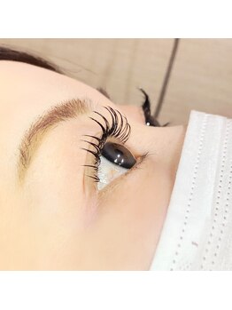 ロアアイラッシュ(Roa eyelash)/Mink120本