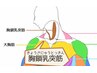 【にゅう突筋オイル◎70分】背中ほぐし20分→首筋デコ→両腕オイル→首筋デコ