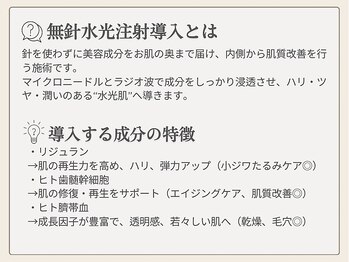 サロン ルイス アディクト(salon Lewis Addict)/無針水光導入