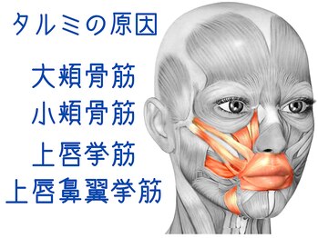 ナチュラルビューティーフェイス 横浜(NBF)/約３０種類の表情筋にアプローチ