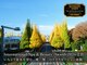 ザ アロマ スパ 青山(THE AROMA SPA AOYAMA)の写真