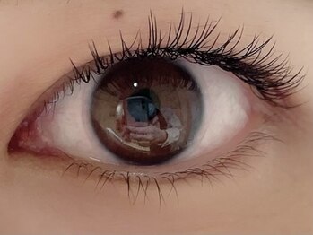 カラン 焼津店(CALIN)/フラットラッシュ100本