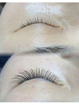 パンダアイラッシュ 上野(panda eyelash)/フラットラッシュ/ワンホン