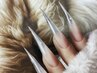 NEW!【チップ】猫爪ネイル★ワンカラー¥11500/ミラーグラデ¥14500