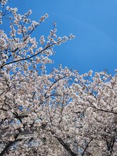 ソミ(SOMI) YUKO Eyelist