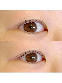 ルクール(Le Coeur)/メーテル