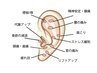 SNSで大人気耳つぼノーマルタイプ【最大7個】2,980円→1,980円
