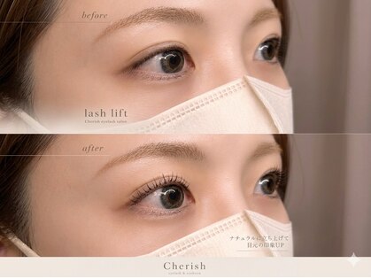 チェリッシュ(Cherish)の写真