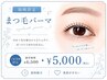 《福崎限定クーポン》まつ毛パーマ＋高濃度Tr +アイシャンプー￥6500→￥5000