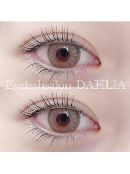 ダリア(DAHLIA)/パリジェンヌラッシュリフト