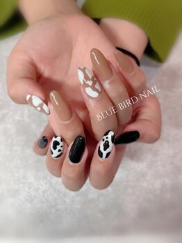 ブルーバードネイル(Blue bird nail)/