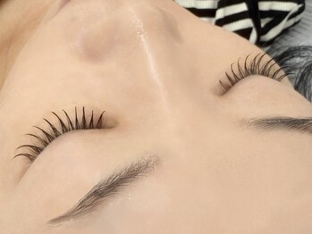 ルピナス 川口(Lupinus)/フラットラッシュ100本