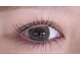 エイム(Aim)の写真