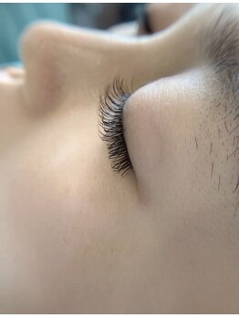 パンダアイラッシュ 上野(panda eyelash)/フラットラッシュ/ワンホン