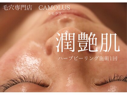 カモラス(CAMOLUS)の写真