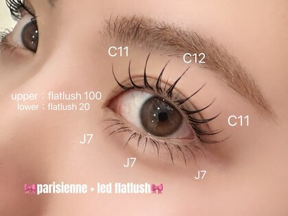 マイロ(Myro)の写真