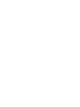 ココン(Cocon by ROSETTA+)/