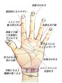 禅&nbsp;私の手相診断！