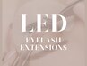 【LED/４週間以内/付け足し】フラット100本/パーフェクトラッシュ160本上限