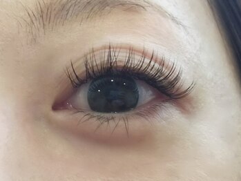 カーム(CALM)/フラットラッシュ　160本