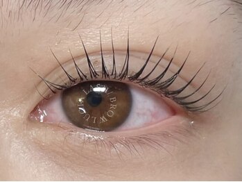 ルシアラッシュブロウ 自由が丘(LUCIA LASH BROW)/マスカラパーマ/まつげパーマ