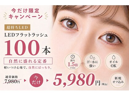 チック(chick)の写真