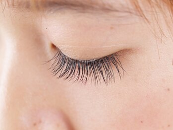 アイラッシュ ルル(eyelash Ruru)/高級セーブル毛120本