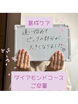 カンパニュラ(Campanula)/ダイアモンドコースご卒業