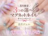 8月限定!3つの選べるマグキャンペーン【自爪ジェル】リピーター様￥6545
