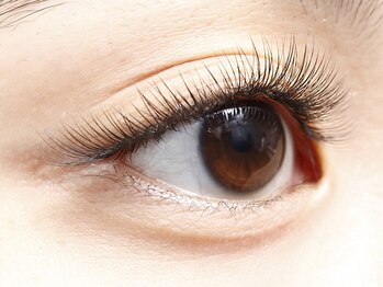 ディーエル ビューティー 大宮店(DL BEAUTY)/ボリュームラッシュ250本(横)