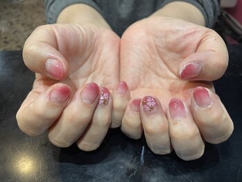 ボディ 高知店(BODY)/桜