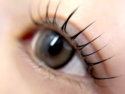 エンヴィー ラッシュ(ENVY LASH)の写真
