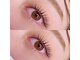 アドルワ(adroit)の写真