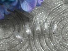 ヴァニッシュ(VANiSH)/定額ネイル