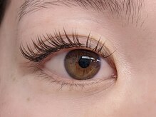 グレース(Graces)/バインドロック80束