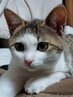 【口コミ投稿者限定】10分サービスサービスさせて頂きます。