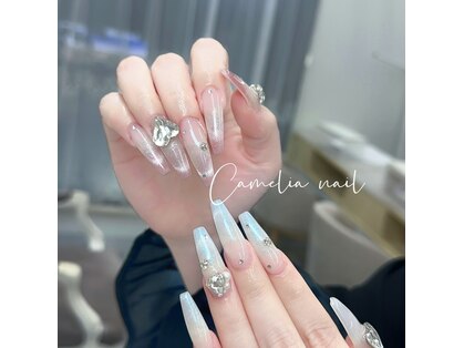 カメリア(Camelia)の写真