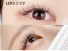 大人気★≪led≫まつエク/フラットラッシュ◎80～100本/アイシャンプー込