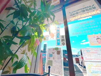 ナチュラリー/観葉植物もたくさん!