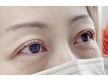 シスタス(Cistus)/ラッシュリフト 