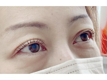 シスタス(Cistus)/ラッシュリフト 