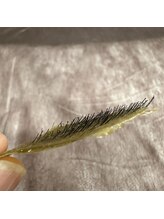 アシスト(Assist)/メンズフェイスWAX