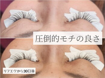 カウイ(KAUI)/リフエクから40日後