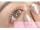 ボス(VOSS)の写真