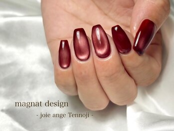 ネイルサロン ジョアアンジェ 天王寺店(joie ange)の写真/【フィルイン,パラジェルあり】納得のいく仕上がりに◎お得にネイルが楽しめます★マグネットも多数あり！