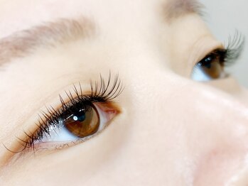 ニジュウバンチ クダマツ(20Banchi Kudamatsu)/フラットラッシュ100本 太さ0.15