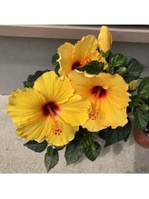 フローラネイル(Flora Nail)&nbsp;AYUMI 